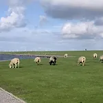 Lägenhet Bi Uns To Hus - Morgensuenn