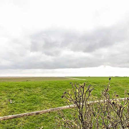 Bi Uns To Hus - Morgensuenn *