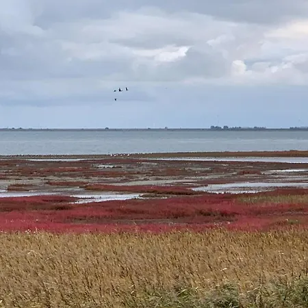 Appartement Bi Uns To Hus - Morgensuenn *