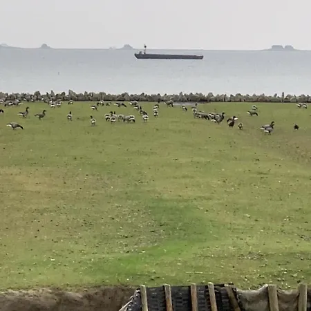 Appartement Bi Uns To Hus - Morgensuenn Nordstrand