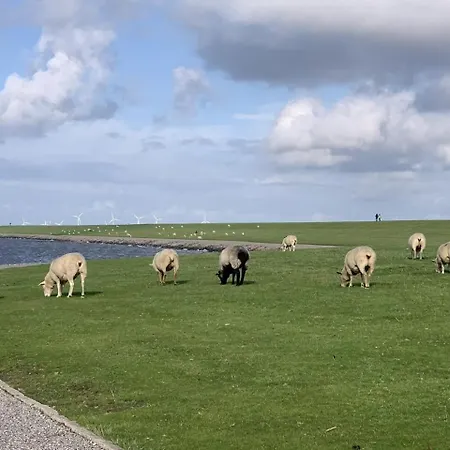 Bi Uns To Hus - Morgensuenn